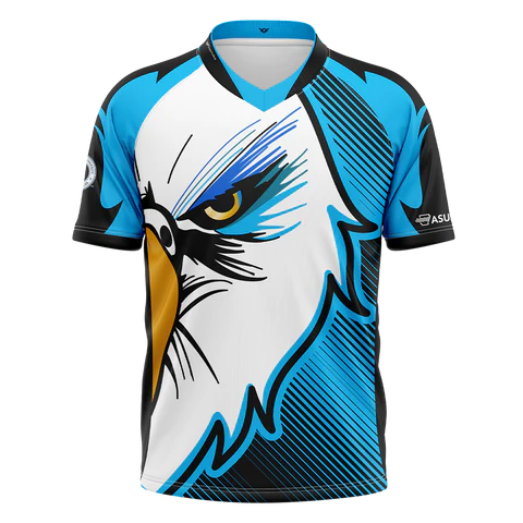 Eagle Jersey Design, Soccer Jersey, Cricket Kit, E-sports gaming, Sports Shirt sublimation em 2023