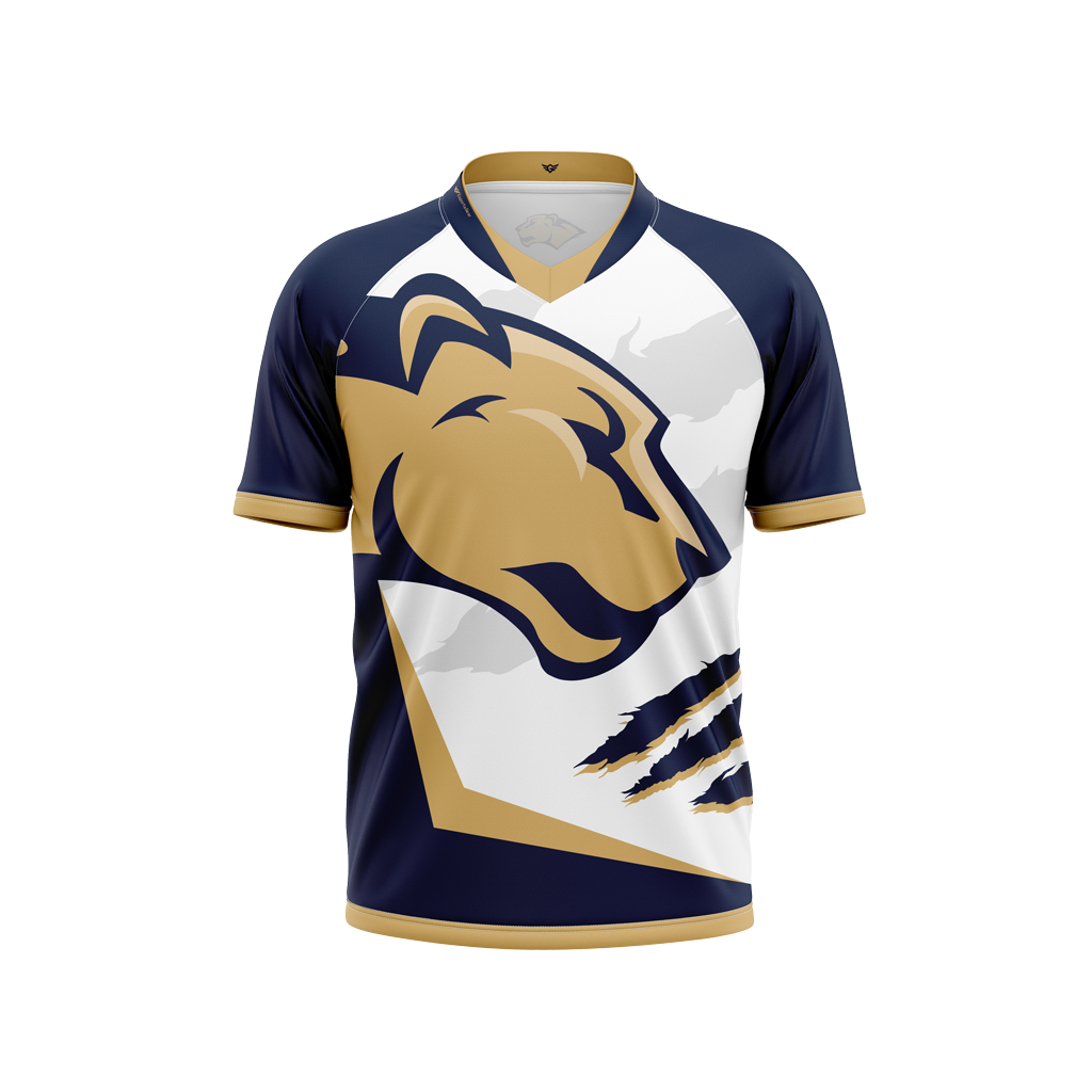 Florida International University Jersey EsportsGear LLC