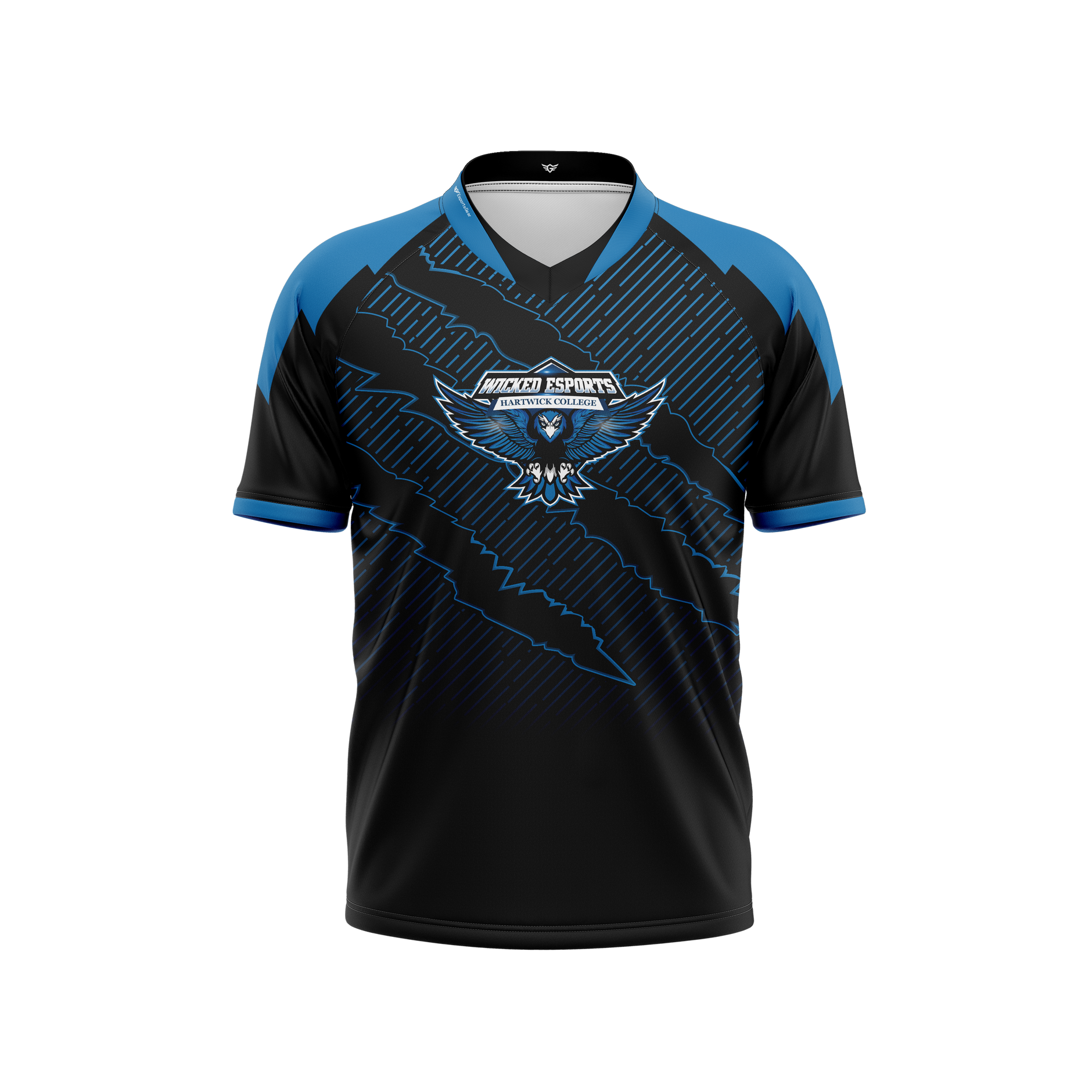 Hartwick College EsportsGear LLC