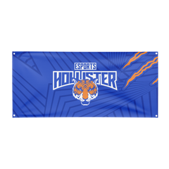 Hollister High School Flag