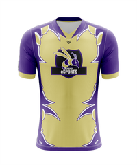 Defiance College Esports Jersey