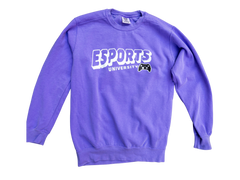 Esports University | Street Series | [DTF] Crew Neck Sweatshirt #ESU008