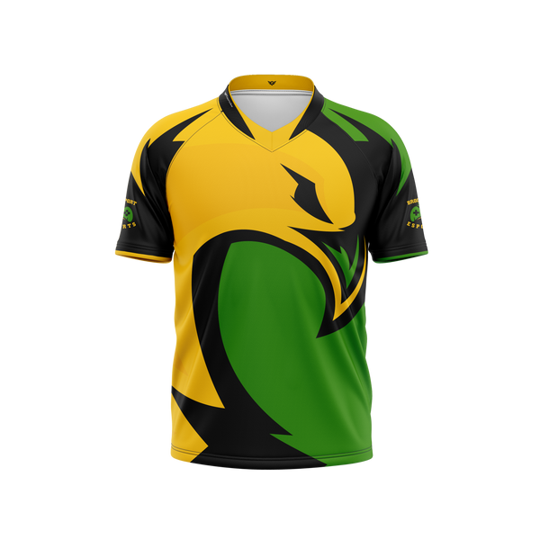 Suny Brockport Jersey – EsportsGear LLC