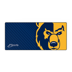 Youngstown City Schools Stitched Edge XL Mousepad