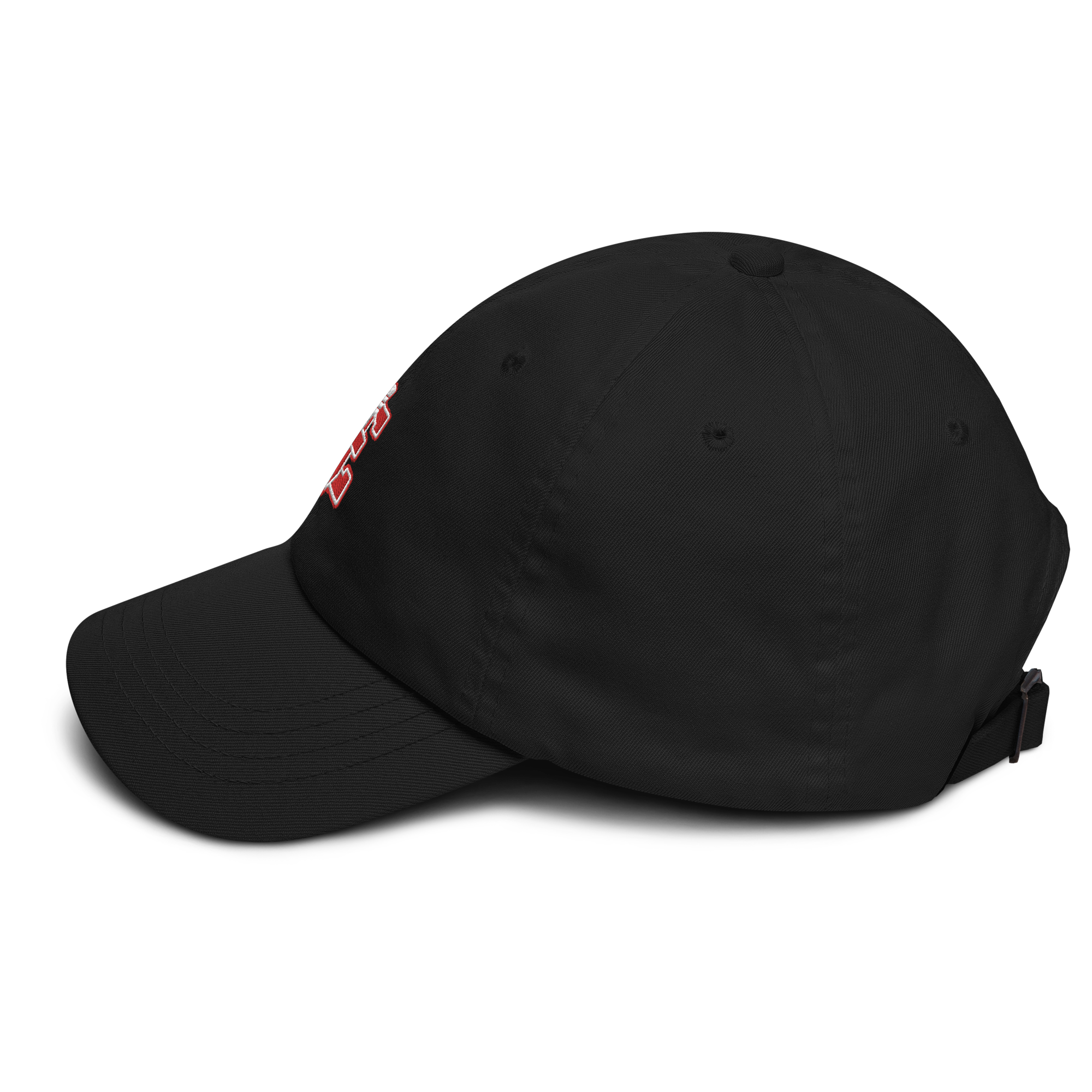 Edinboro University Embroidered Dad hat