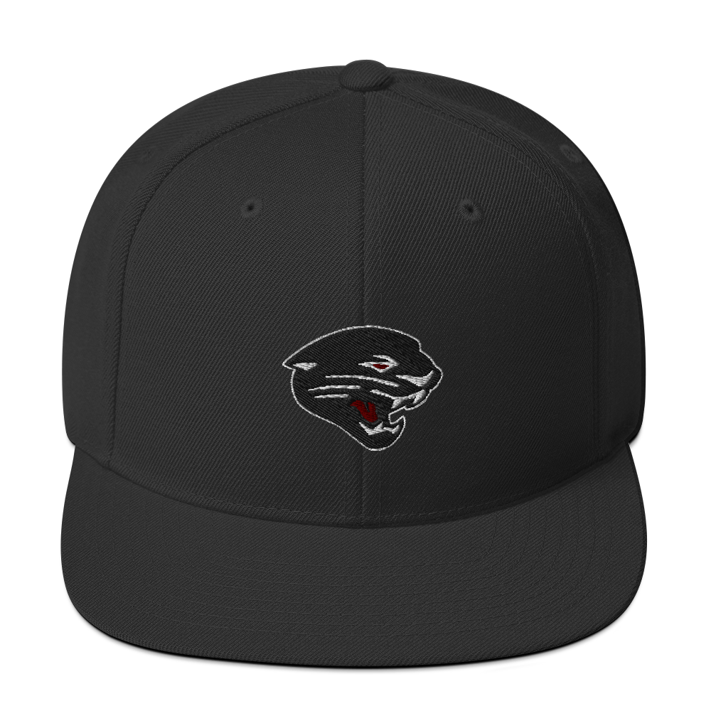 Desert Ridge High School | Street Gear | Embroidered Snapback Hat