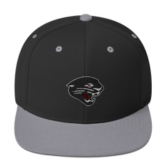 Desert Ridge High School | Street Gear | Embroidered Snapback Hat