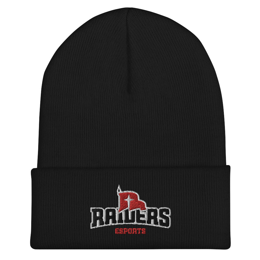 Northwestern College | On Demand | Embroidered Cuffed Beanie