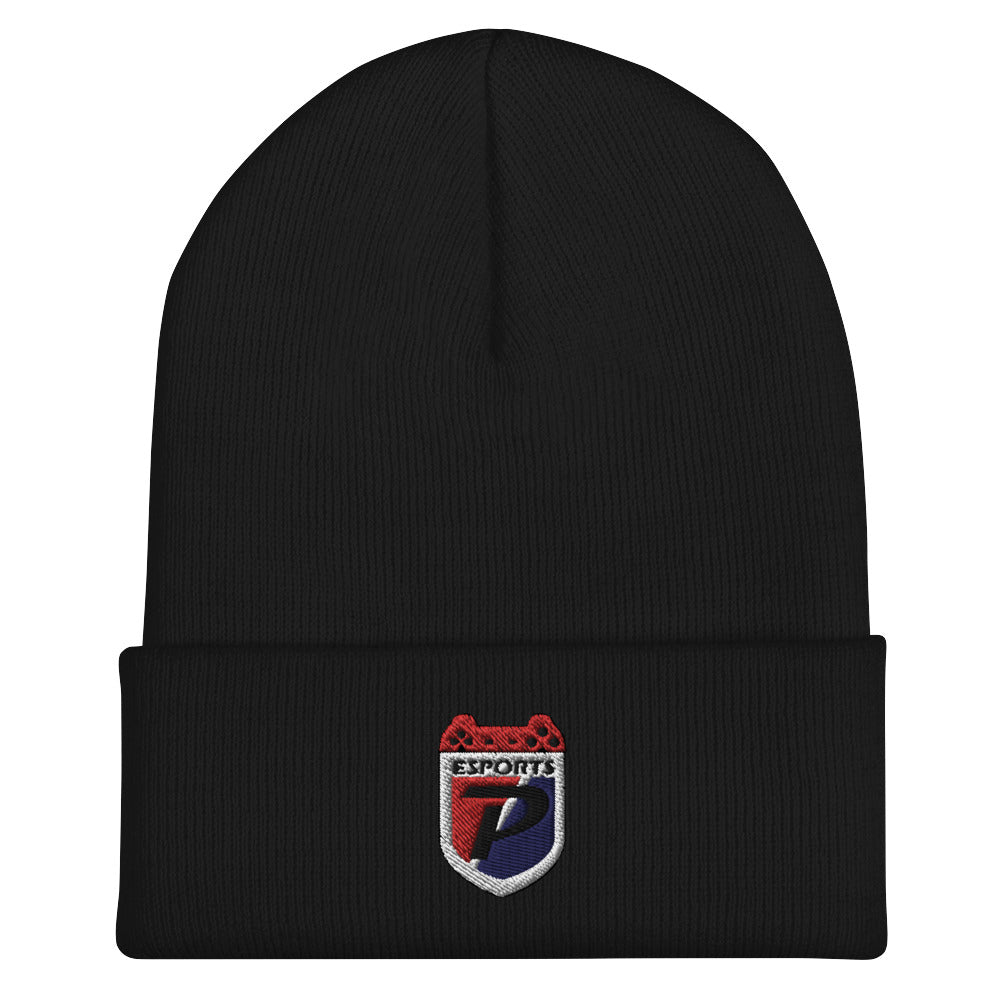 Plainfield High School | On Demand | Embroidered Cuffed Beanie