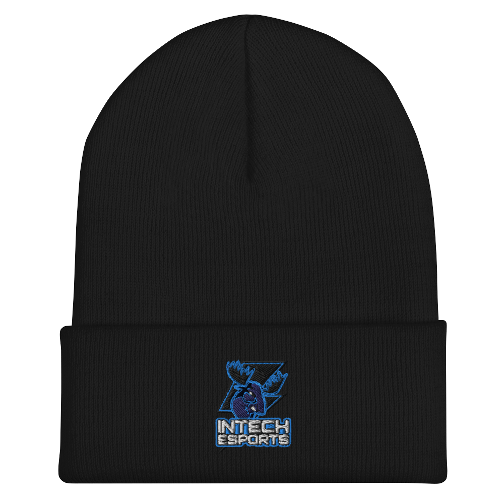 Intech Collegiate Academy | On Demand | Embroidered Cuffed Beanie