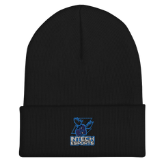 Intech Collegiate Academy | On Demand | Embroidered Cuffed Beanie