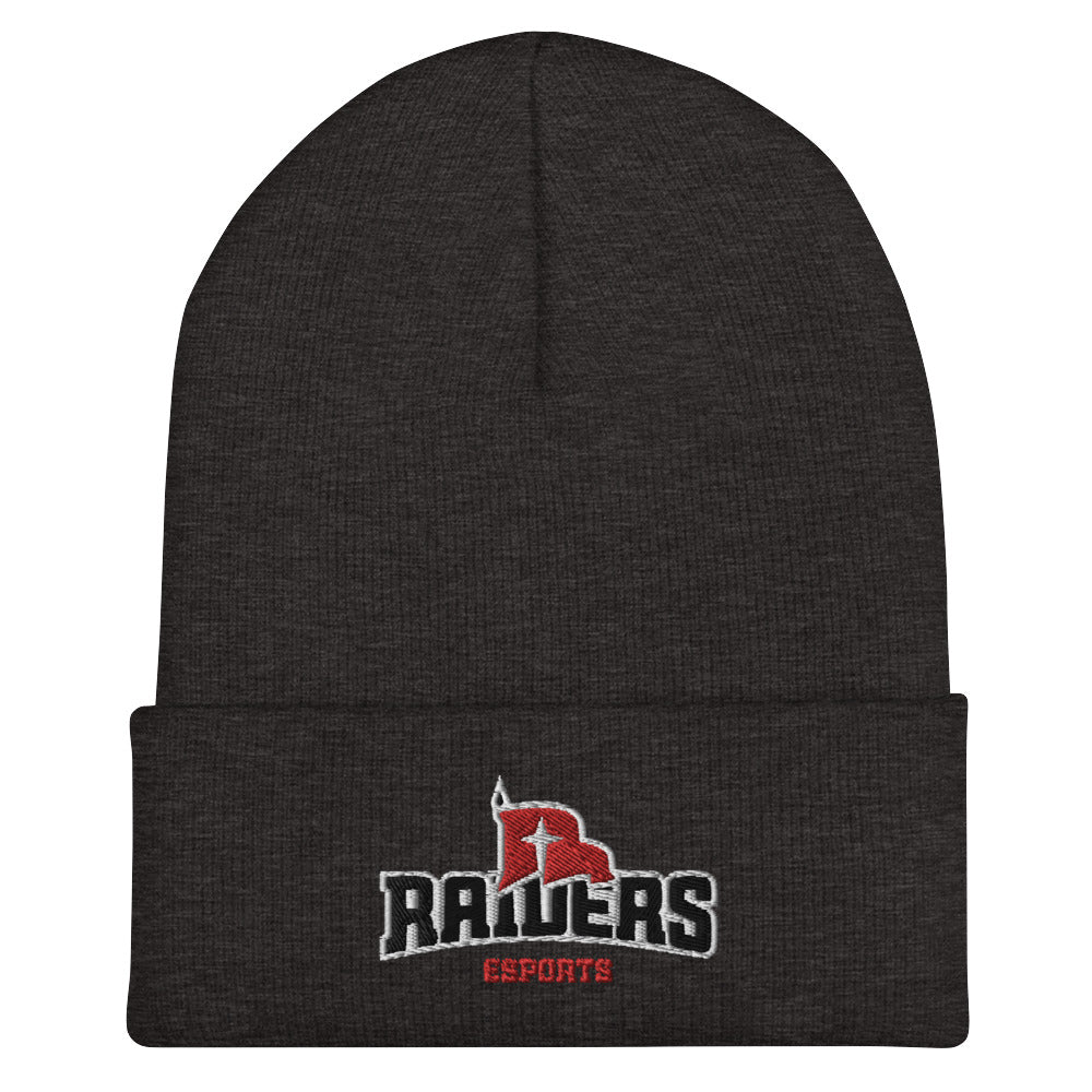 Northwestern College | On Demand | Embroidered Cuffed Beanie