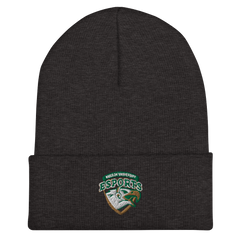 Husson University | On Demand | Embroidered Cuffed Beanie