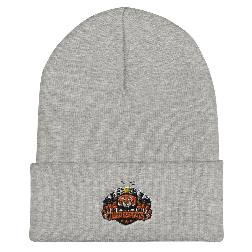 Fort Scott High School | On Demand | Embroidered Cuffed Beanie