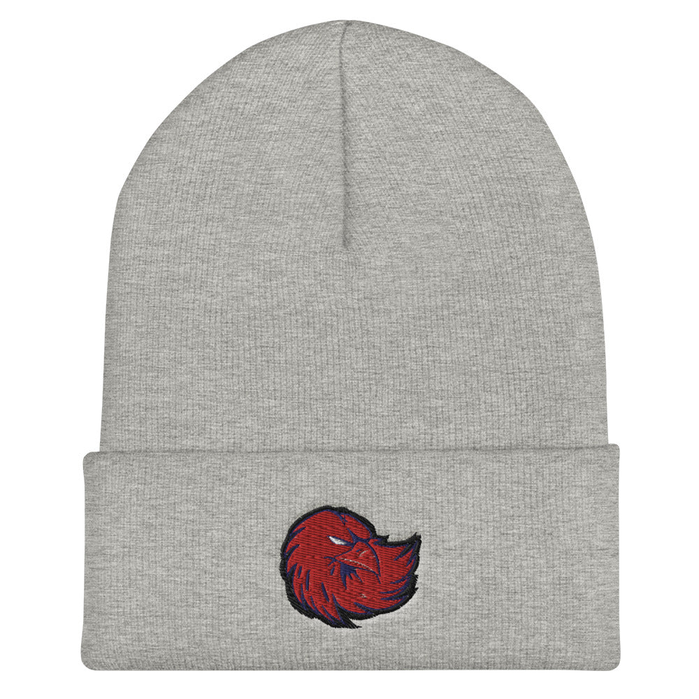 Lancaster High School | On Demand | Embroidered Cuffed Beanie