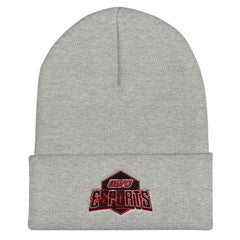 Ohio Wesleyan University | On Demand | Embroidered Cuffed Beanie