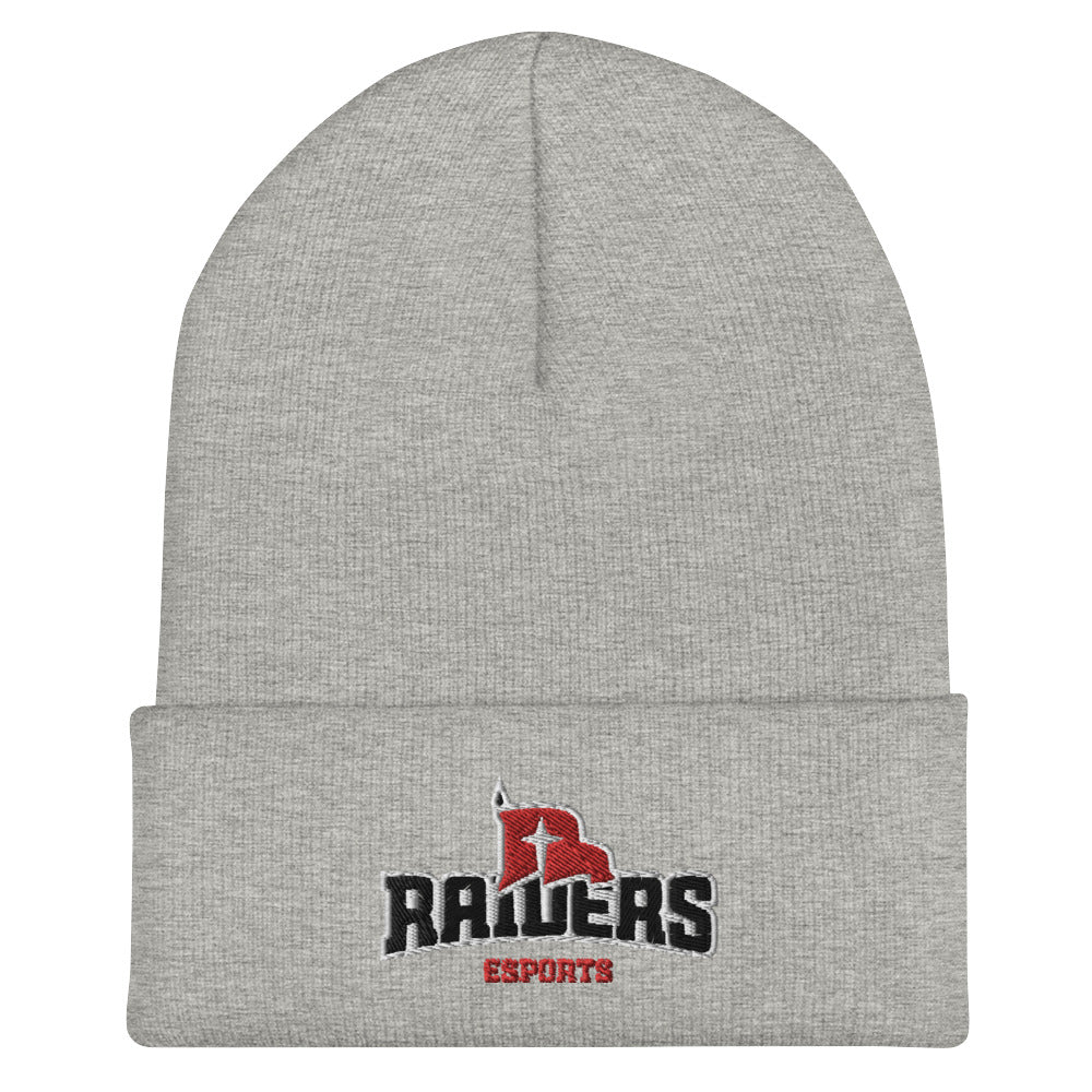 Northwestern College | On Demand | Embroidered Cuffed Beanie