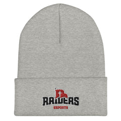 Northwestern College | On Demand | Embroidered Cuffed Beanie