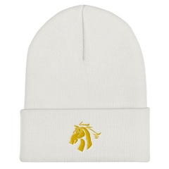 Esports at WMU | Street Gear | Embroidered Cuffed Beanie