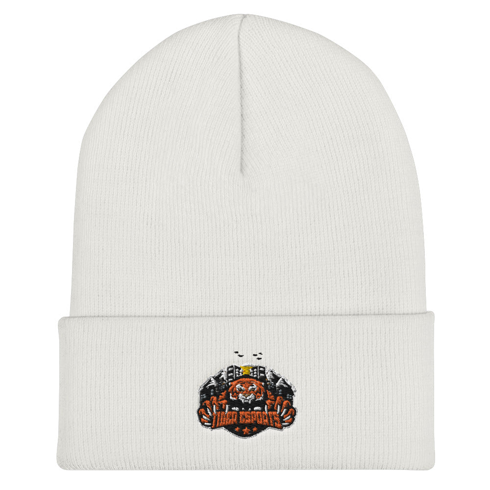 Fort Scott High School | On Demand | Embroidered Cuffed Beanie