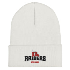 Northwestern College | On Demand | Embroidered Cuffed Beanie