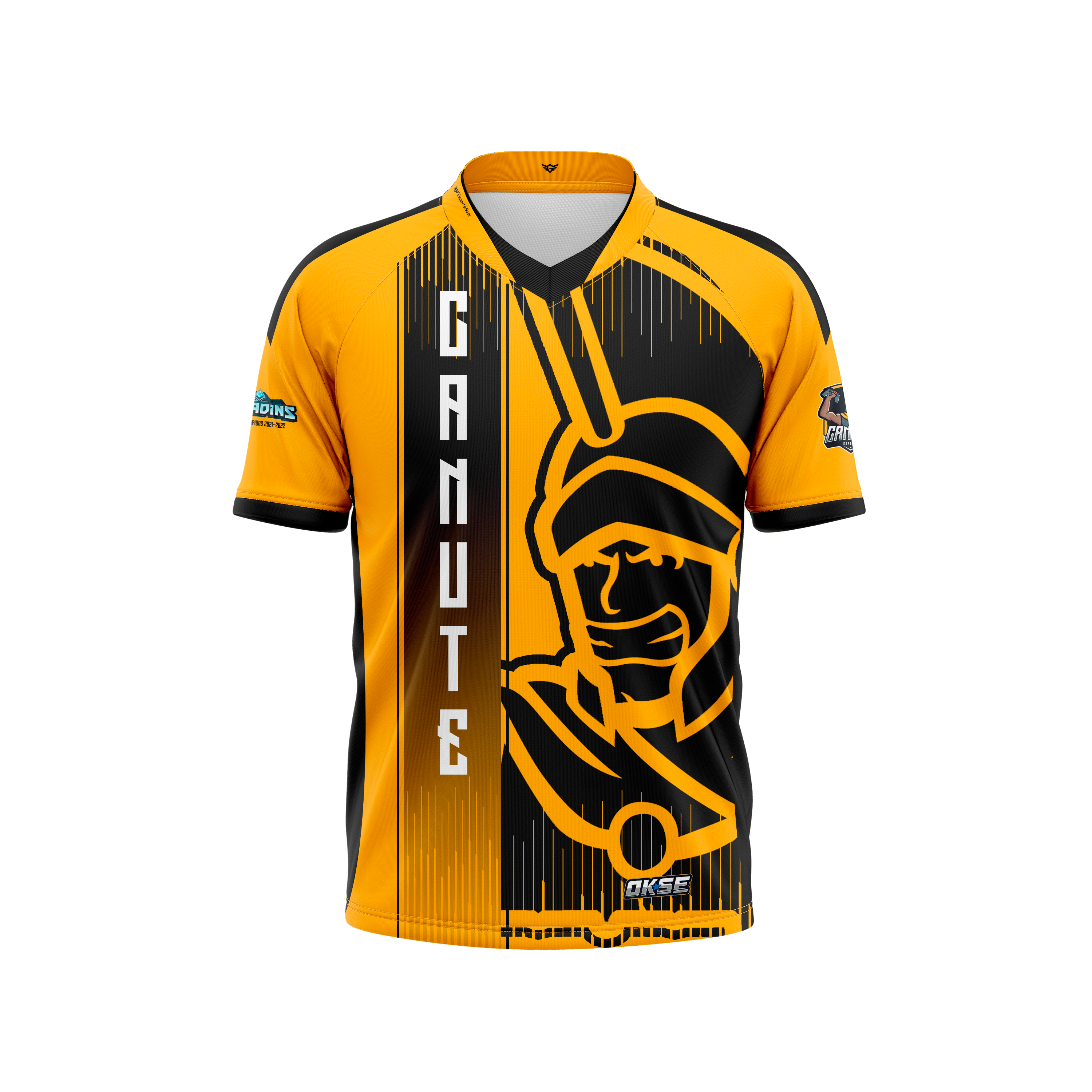 Canute Esports Paladins Jersey