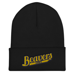 BVU Esports | Street Gear | Embroidered Cuffed Beanie