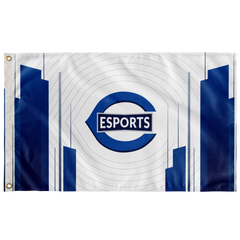 Crowder Esports Flag