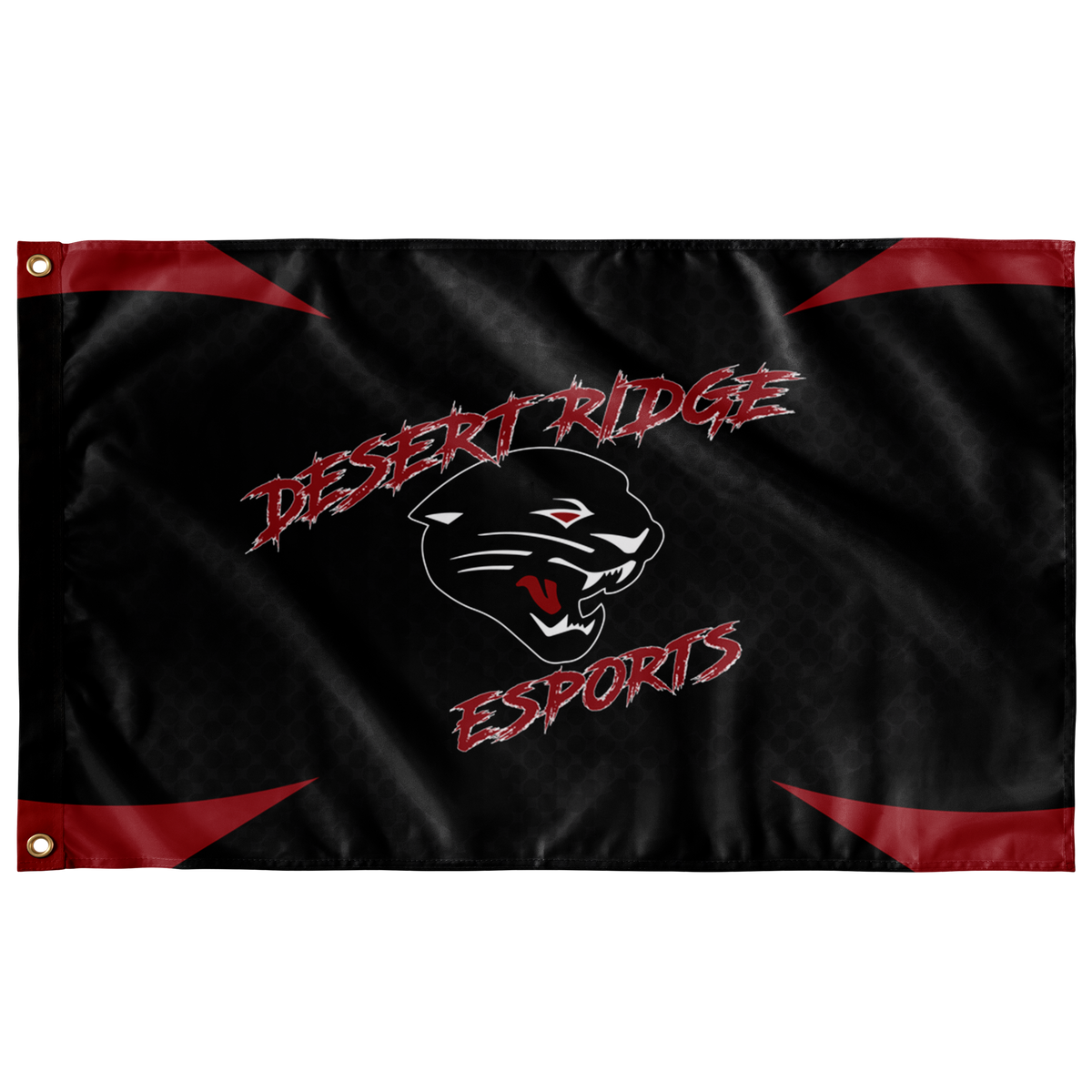 Desert Ridge Esports Flag