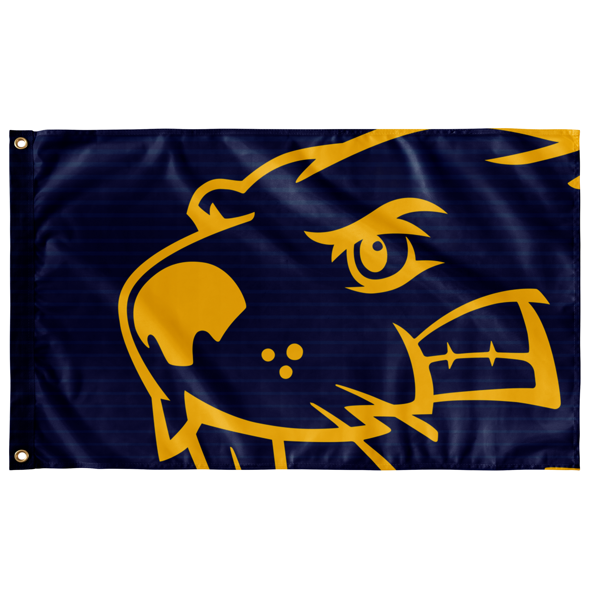 BVU Esports | Immortal Series | Sublimated Flag