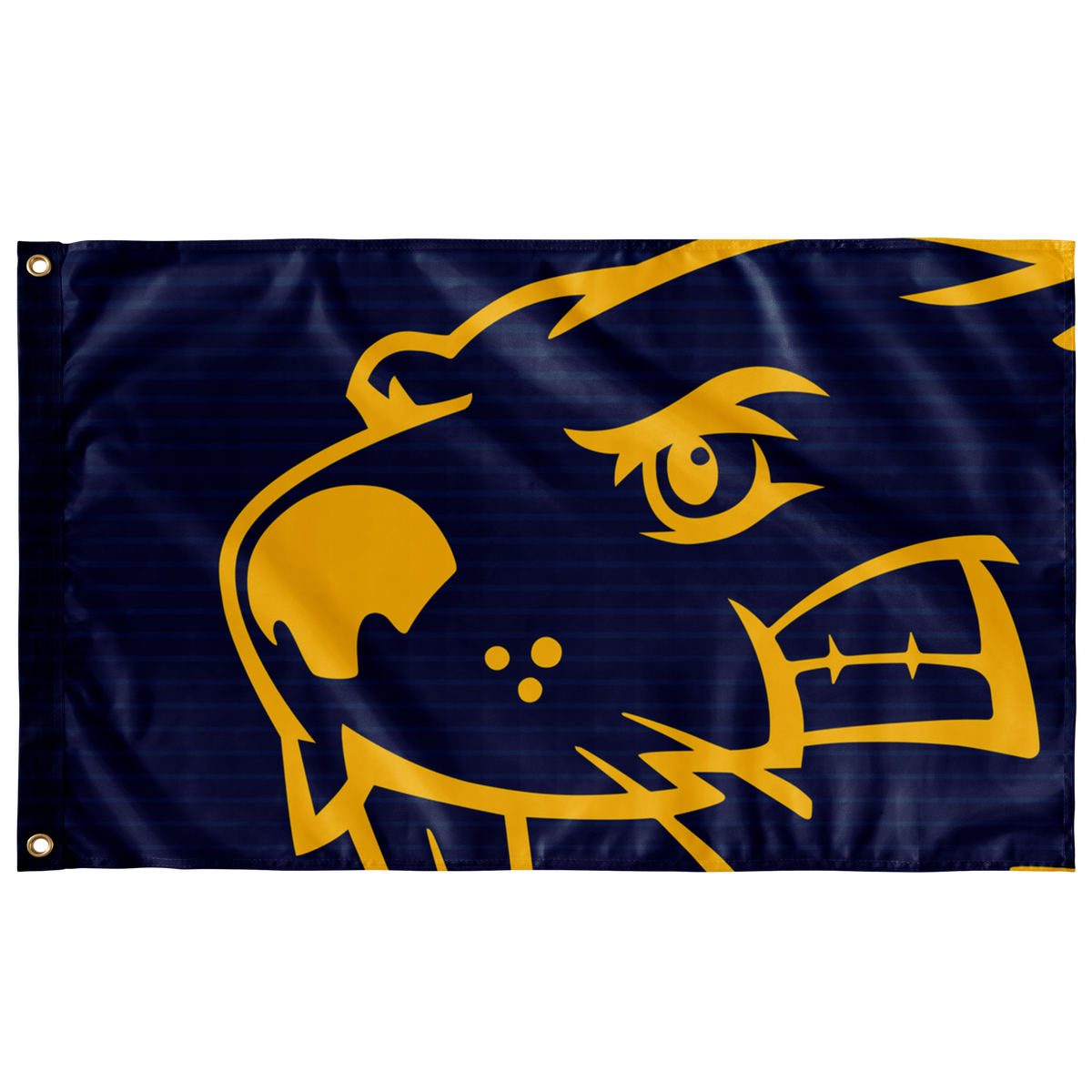 BVU Esports | Immortal Series | Sublimated Flag