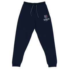 Desales Esports | Street Gear | Unisex Joggers [Embroidered]