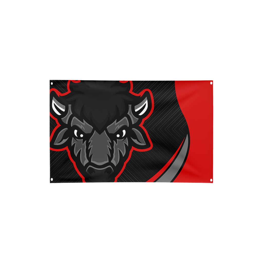 Bison Esports | Immortal Series | Flag
