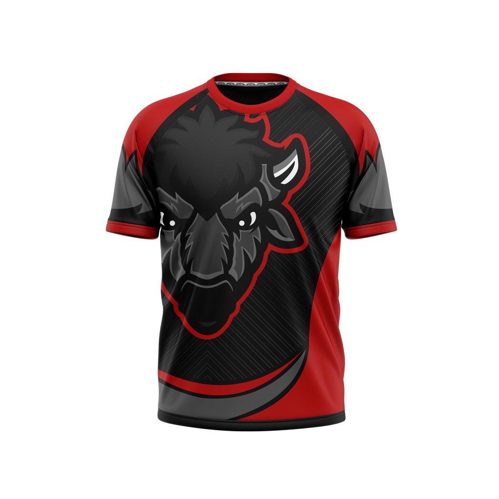 Bison Esports | Phantom Series | Raglan T-Shirt