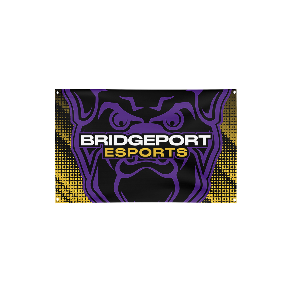 Bridgeport Public Schools | Immortal Series | Flag