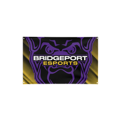 Bridgeport Public Schools | Immortal Series | Flag