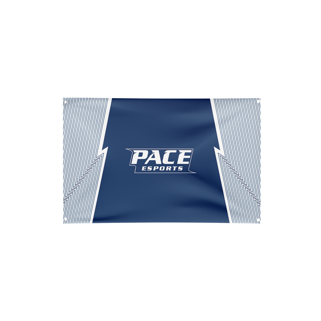Pace University Academy | Immortal Series | Flag