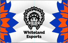 Whiteland Esports | Immortal Series | Flag