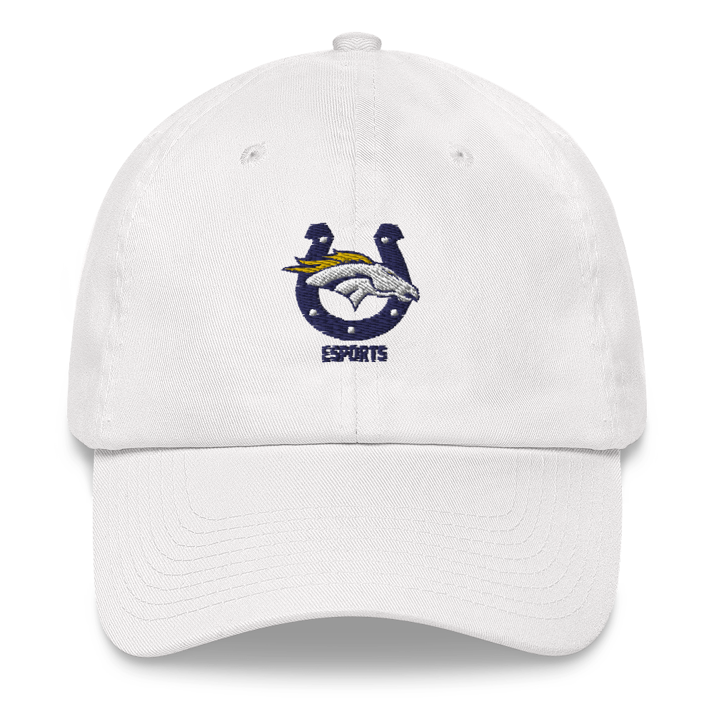 Bronco Esports | Street Gear | Embroidered Dad hat