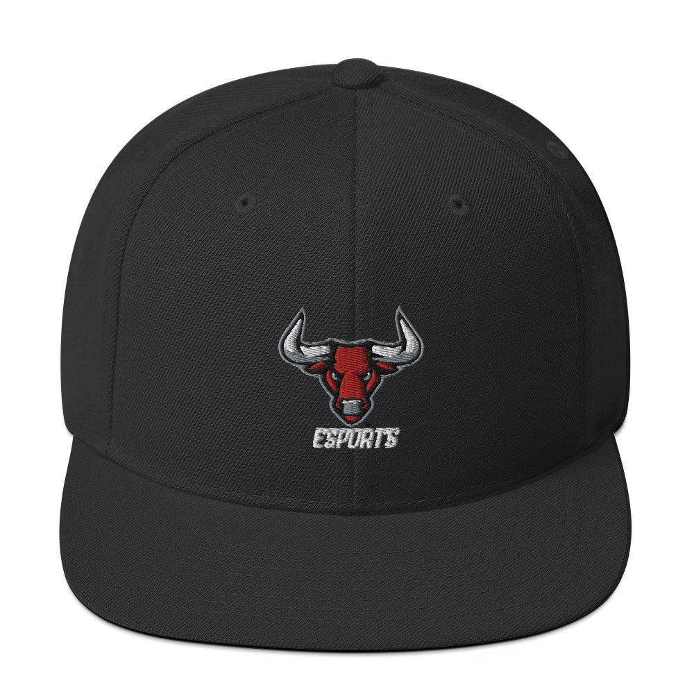 Torres High School | On Demand | Embroidered Snapback Hat