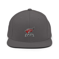 North Central College | On Demand | Embroidered Snapback Hat