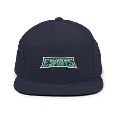Illinois Wesleyan Esports | Street Gear | Embroidered Snapback Hat