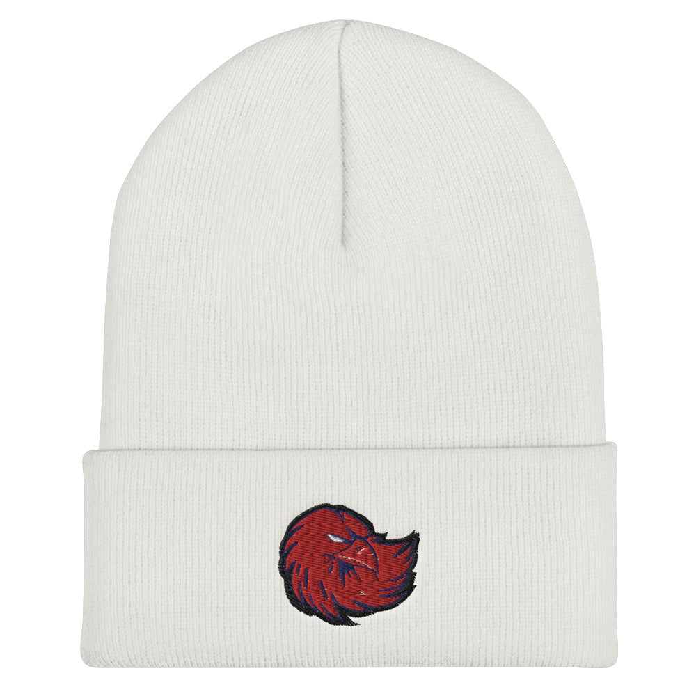 Lancaster High School | On Demand | Embroidered Cuffed Beanie