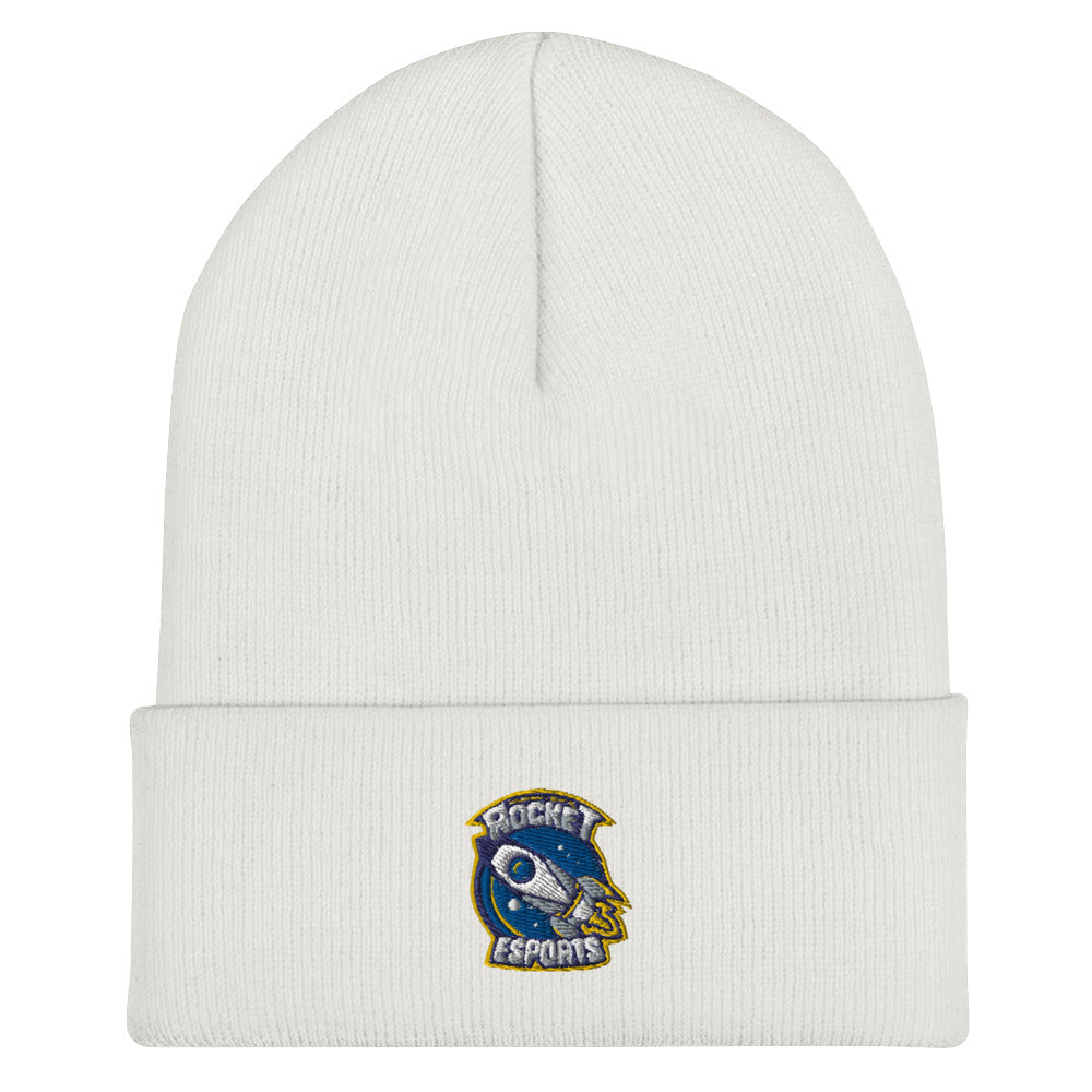 Indiana Digital Learning School | On Demand | Embroidered Cuffed Beanie