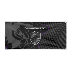 Pickerington eSports | Immortal Series | Flag