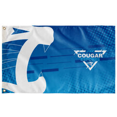 USF Cougar Esports Flag