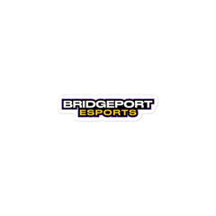 Bridgeport Public Schools | On Demand | Stickers