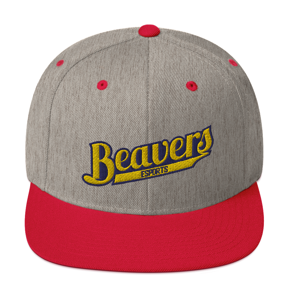 BVU Esports | Street Gear | Embroidered Snapback Hat