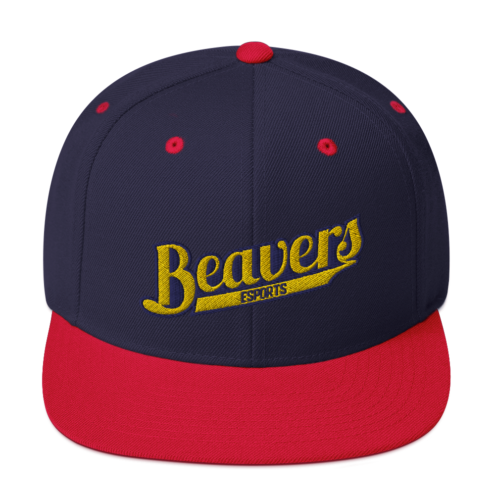BVU Esports | Street Gear | Embroidered Snapback Hat
