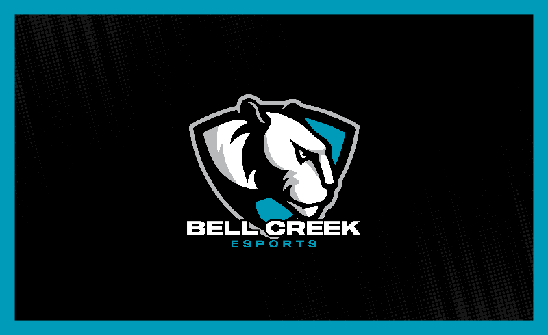 Bell Creek Academy Esports Flag